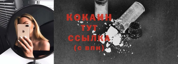 соль ск Протвино