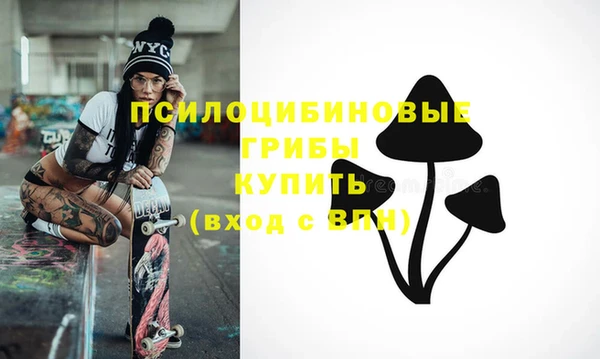 гидра Верея