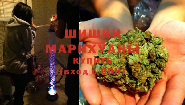 тгк Пролетарск